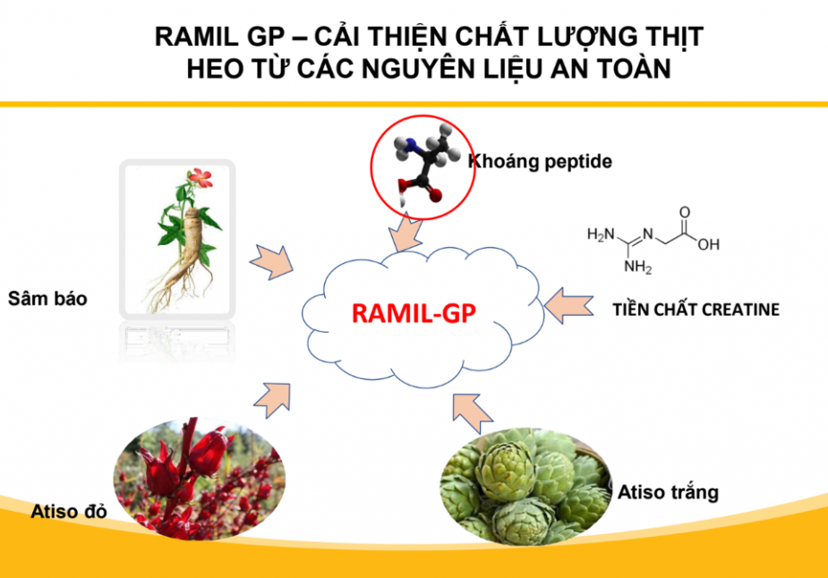 CƠ CHẾ ĐẶC BIỆT RAMIL GP - GIẢI PHÁP TOÀN DIỆN CHO HEO THỊT